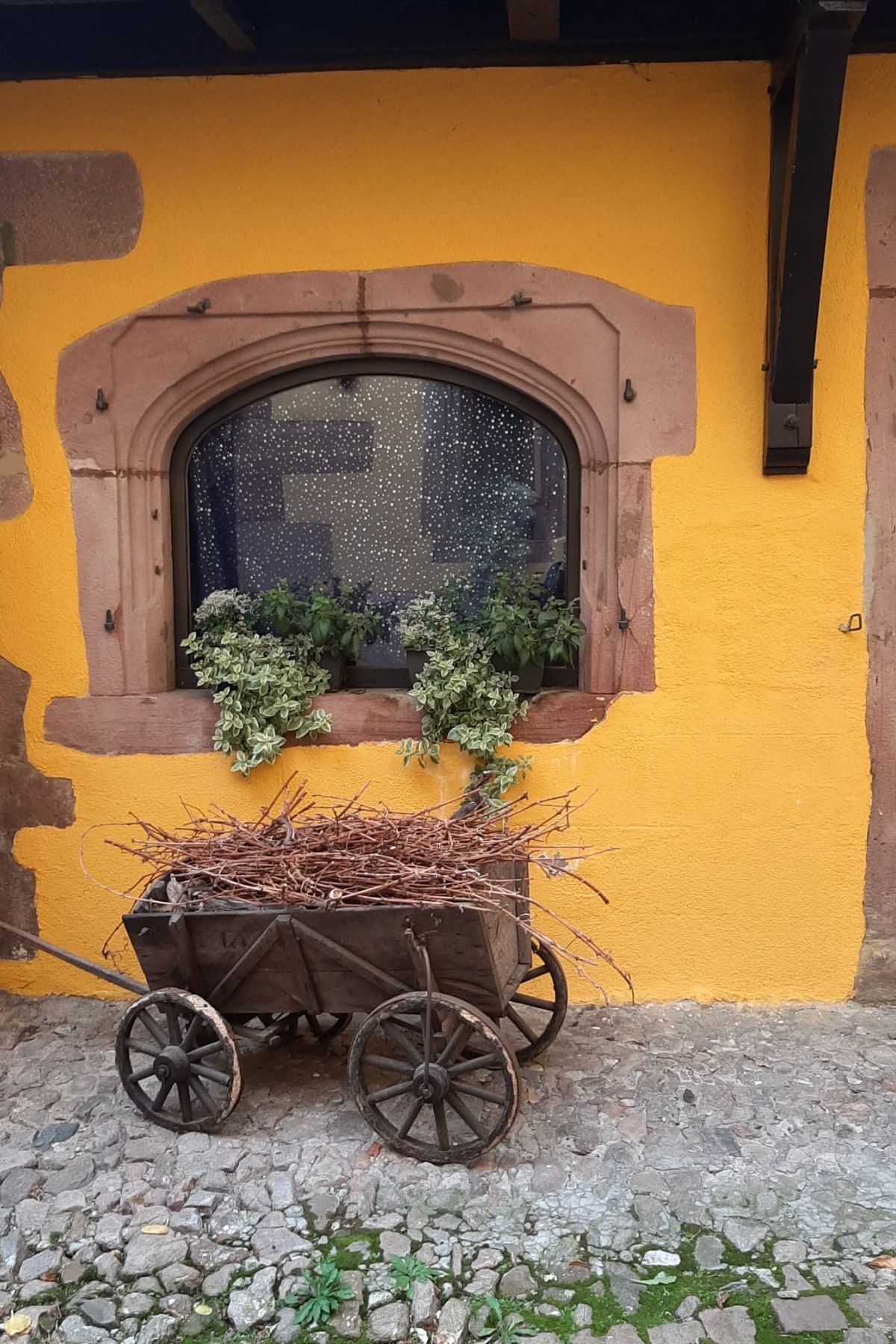 Hotel La Couronne in Riquewihr, ein charmantes Hotel an der Elsässer Weinstraße, im Herzen der Weinberge und eines mittelalterlichen Dorfes.