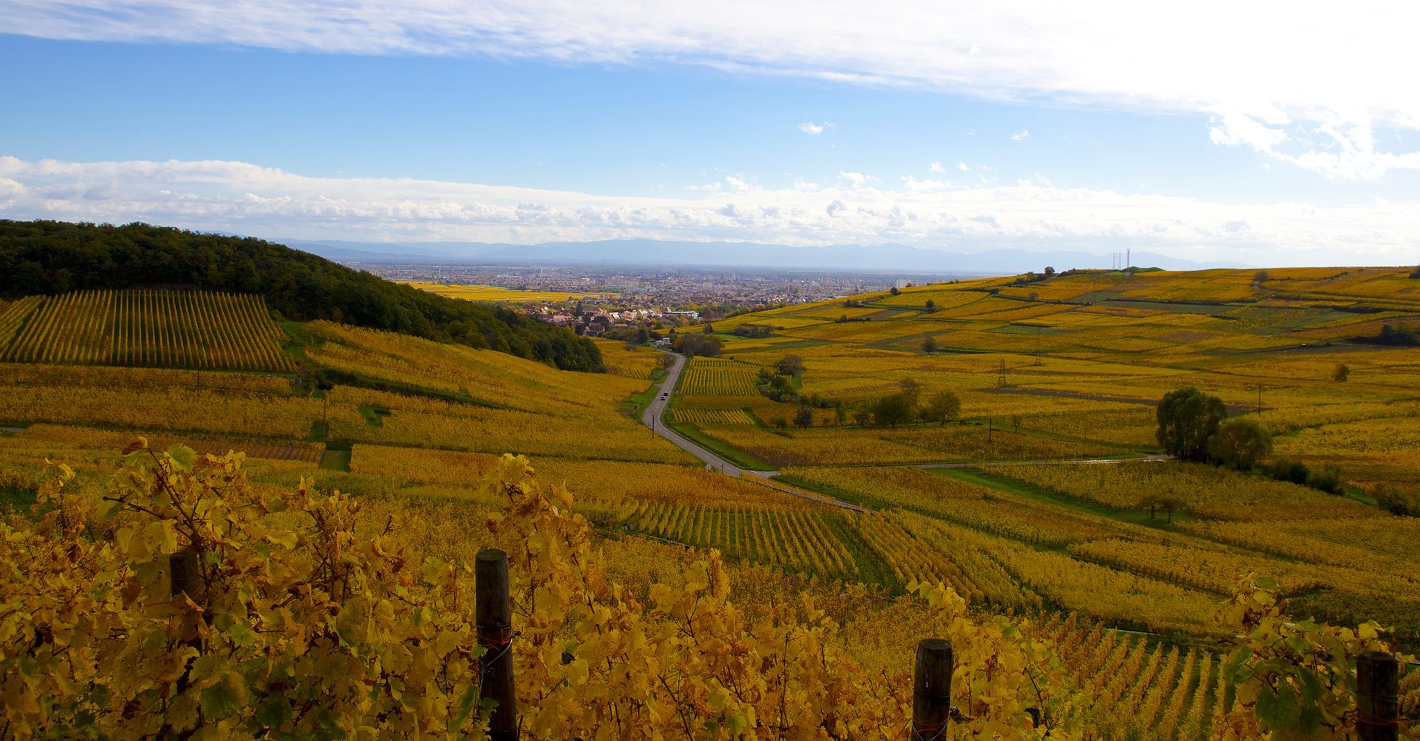 Hôtel La Couronne à Riquewihr, un hôtel de charme sur la route des vins d'Alsace, en plein coeur du vignoble et d'un village médiéval